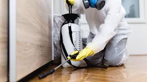 Real Estate Pest Inspections in Southworth, WA